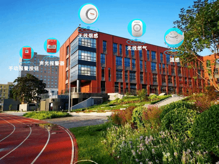 1709110377790531.png 1709110044543622-1.png